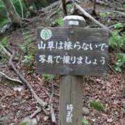 ヒメ日記 2026/05/17 21:17 投稿 かよ 吉原ファーストレディ