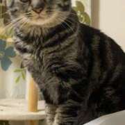 ヒメ日記 2024/12/17 06:26 投稿 ちか 吉原ファーストレディ