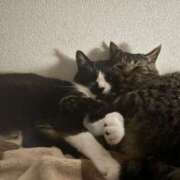 ヒメ日記 2025/01/12 06:06 投稿 ちか 吉原ファーストレディ