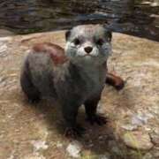 ヒメ日記 2025/01/14 06:16 投稿 ちか 吉原ファーストレディ