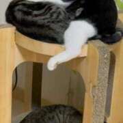 ヒメ日記 2025/01/26 06:07 投稿 ちか 吉原ファーストレディ