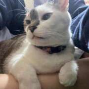 ヒメ日記 2025/02/22 06:26 投稿 ちか 吉原ファーストレディ