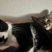 ヒメ日記 2025/03/04 06:06 投稿 ちか 吉原ファーストレディ