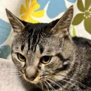 ヒメ日記 2025/03/22 06:21 投稿 ちか 吉原ファーストレディ