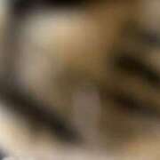 ヒメ日記 2025/03/30 06:06 投稿 ちか 吉原ファーストレディ