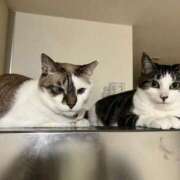 ヒメ日記 2025/04/20 06:21 投稿 ちか 吉原ファーストレディ