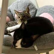 ヒメ日記 2025/04/22 06:08 投稿 ちか 吉原ファーストレディ