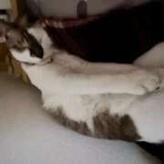 ヒメ日記 2025/05/06 06:10 投稿 ちか 吉原ファーストレディ