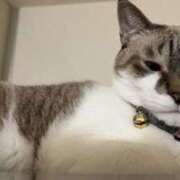 ヒメ日記 2025/05/19 20:26 投稿 ちか 吉原ファーストレディ