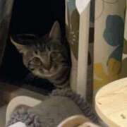 ヒメ日記 2025/05/25 06:16 投稿 ちか 吉原ファーストレディ