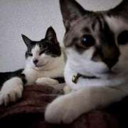 ヒメ日記 2025/06/01 06:26 投稿 ちか 吉原ファーストレディ