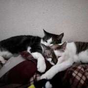 ヒメ日記 2025/06/03 06:16 投稿 ちか 吉原ファーストレディ