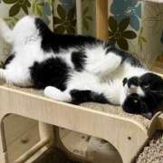 ヒメ日記 2025/06/22 06:20 投稿 ちか 吉原ファーストレディ