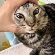 ヒメ日記 2025/06/29 06:06 投稿 ちか 吉原ファーストレディ