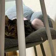 ヒメ日記 2025/07/15 06:16 投稿 ちか 吉原ファーストレディ