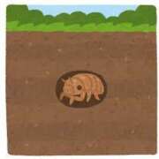 ヒメ日記 2025/07/19 06:06 投稿 ちか 吉原ファーストレディ