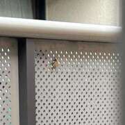 ヒメ日記 2025/07/20 06:04 投稿 ちか 吉原ファーストレディ