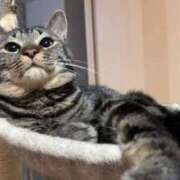 ヒメ日記 2025/07/27 06:21 投稿 ちか 吉原ファーストレディ