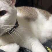 ヒメ日記 2025/07/29 06:19 投稿 ちか 吉原ファーストレディ