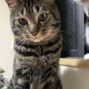 ヒメ日記 2025/08/09 06:18 投稿 ちか 吉原ファーストレディ