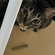 ヒメ日記 2025/08/10 06:12 投稿 ちか 吉原ファーストレディ