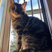 ヒメ日記 2025/08/12 06:06 投稿 ちか 吉原ファーストレディ