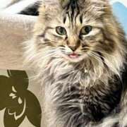 ヒメ日記 2025/08/23 06:11 投稿 ちか 吉原ファーストレディ