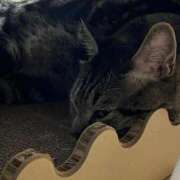 ヒメ日記 2025/08/24 06:18 投稿 ちか 吉原ファーストレディ