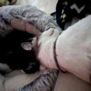 ヒメ日記 2025/09/06 05:56 投稿 ちか 吉原ファーストレディ