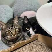 ヒメ日記 2025/09/13 06:10 投稿 ちか 吉原ファーストレディ