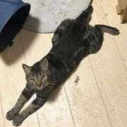 ヒメ日記 2025/09/16 06:06 投稿 ちか 吉原ファーストレディ