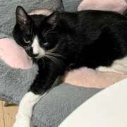 ヒメ日記 2025/09/23 06:12 投稿 ちか 吉原ファーストレディ