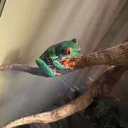 ヒメ日記 2025/10/04 06:13 投稿 ちか 吉原ファーストレディ