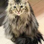 ヒメ日記 2025/10/05 06:18 投稿 ちか 吉原ファーストレディ