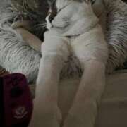 ヒメ日記 2025/10/14 06:06 投稿 ちか 吉原ファーストレディ