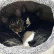 ヒメ日記 2025/11/02 06:19 投稿 ちか 吉原ファーストレディ