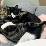 ヒメ日記 2025/11/08 06:16 投稿 ちか 吉原ファーストレディ