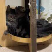 ヒメ日記 2025/11/09 06:16 投稿 ちか 吉原ファーストレディ