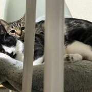 ヒメ日記 2025/11/11 06:16 投稿 ちか 吉原ファーストレディ