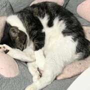 ヒメ日記 2025/11/15 06:14 投稿 ちか 吉原ファーストレディ