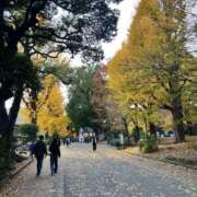 ヒメ日記 2025/12/13 06:26 投稿 ちか 吉原ファーストレディ