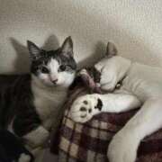 ちか 今日は買い物して帰るゾ（宣誓） 吉原ファーストレディ