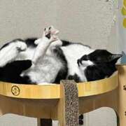 ヒメ日記 2026/01/06 05:56 投稿 ちか 吉原ファーストレディ