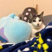 ヒメ日記 2026/01/10 06:21 投稿 ちか 吉原ファーストレディ