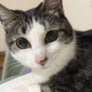 ヒメ日記 2026/02/01 06:20 投稿 ちか 吉原ファーストレディ