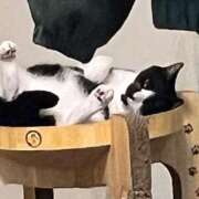 ヒメ日記 2026/02/03 06:16 投稿 ちか 吉原ファーストレディ