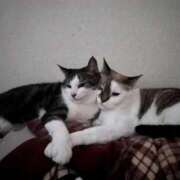 ヒメ日記 2026/02/10 06:16 投稿 ちか 吉原ファーストレディ