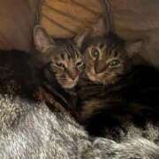 ヒメ日記 2026/03/08 06:27 投稿 ちか 吉原ファーストレディ