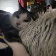 ヒメ日記 2026/03/21 06:00 投稿 ちか 吉原ファーストレディ