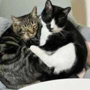 ヒメ日記 2026/03/29 06:25 投稿 ちか 吉原ファーストレディ